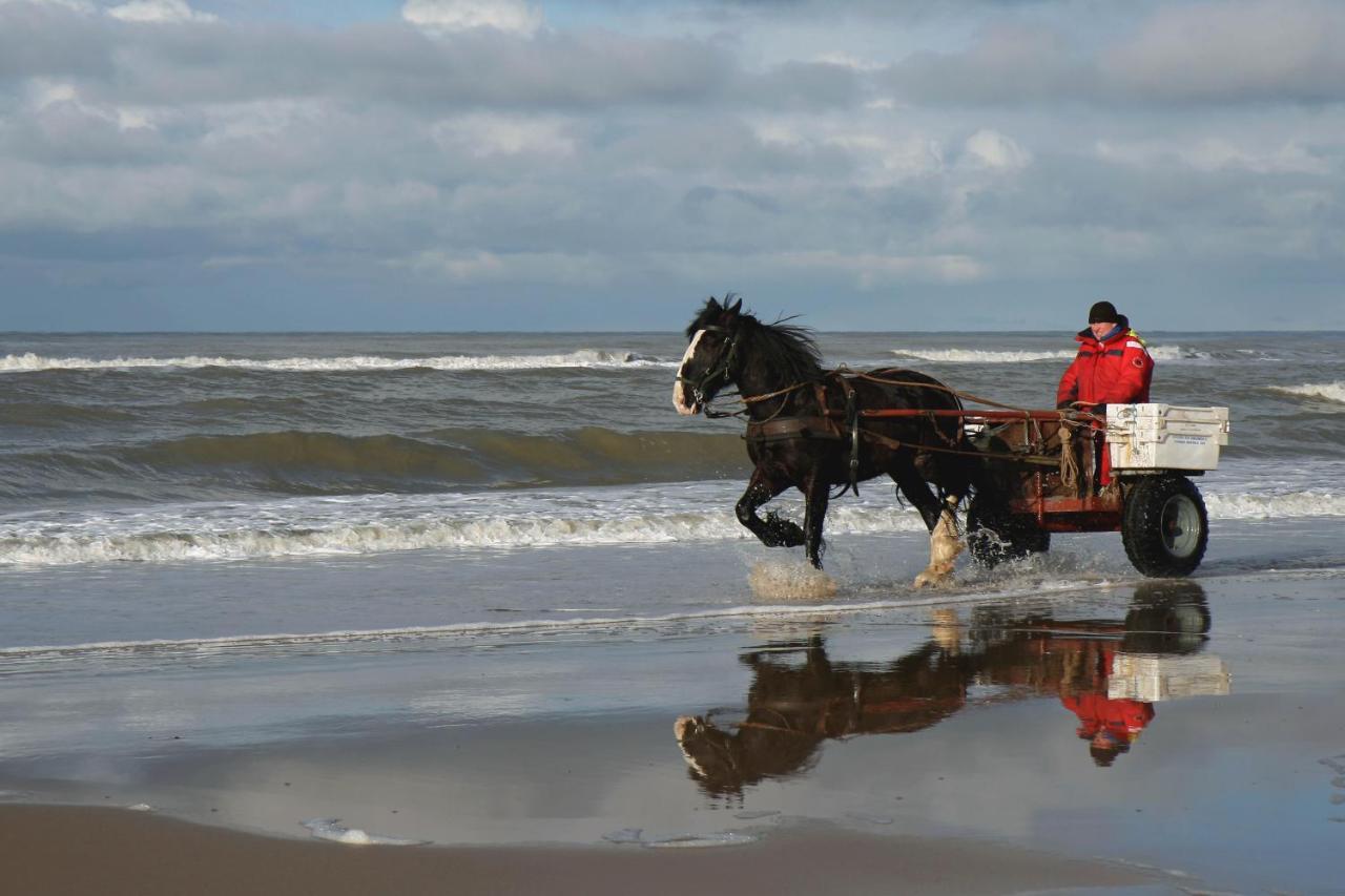 Centraal Aan Zee Egmond aan Zee Exterior foto